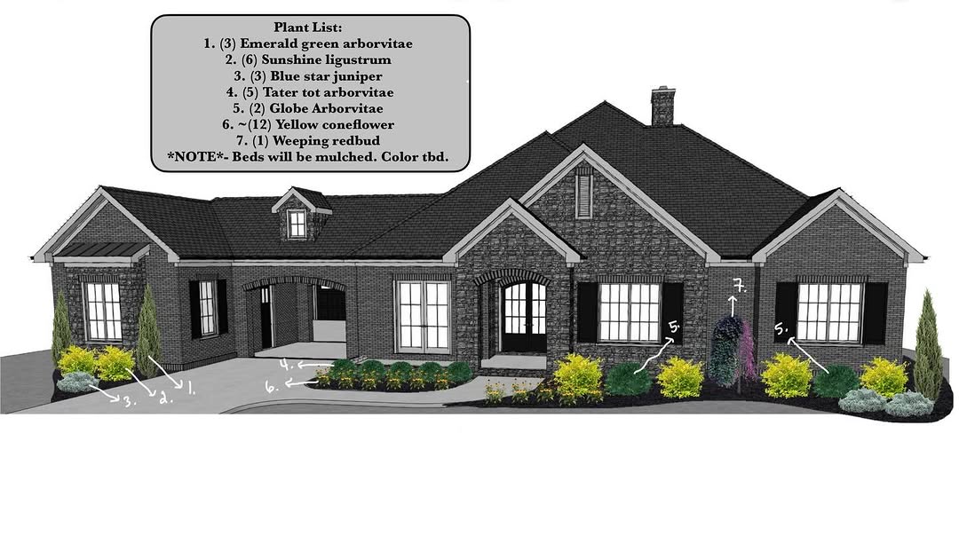 New build landscape design in Kingston